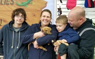 Another Life Saved – Fawn
