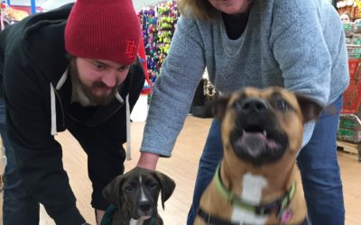 Another Life Saved – Hercules
