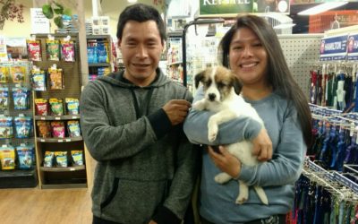 Another Life Saved – Holden
