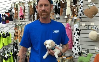 Another Life Saved – Jasper