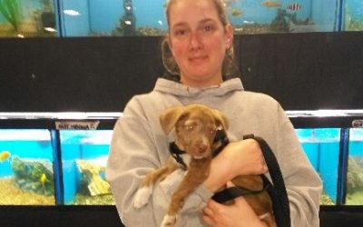 Another Life Saved – Jimmy