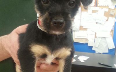 Another Life Saved – Keeta