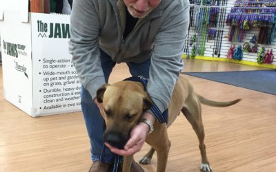 Another Life Saved – King
