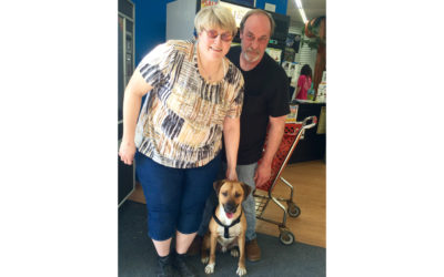 Another Life Saved – King