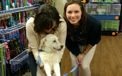 Another Life Saved – Kotton
