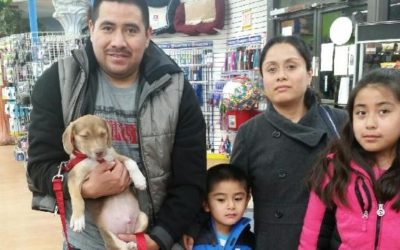 Another Life Saved – Larry