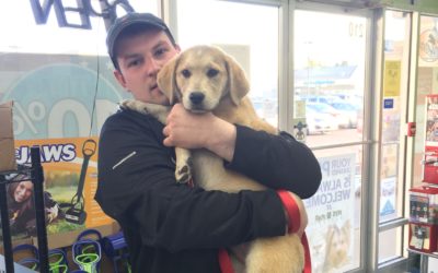 Another Life Saved – Lexi