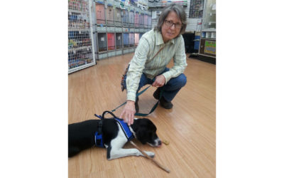 Another Life Saved – Lilly