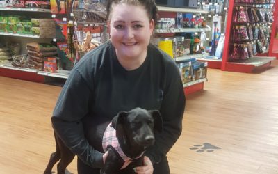 Another Life Saved – Lizzy