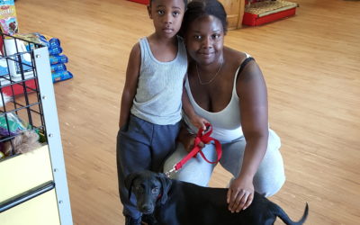 Another Life Saved – Lucky