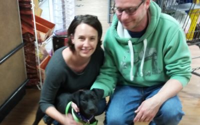 Another Life Saved – Lulu