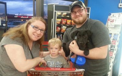 Another Life Saved – Midnight