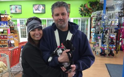 Another Life Saved – Missy
