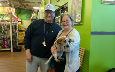 Another Life Saved – Nara