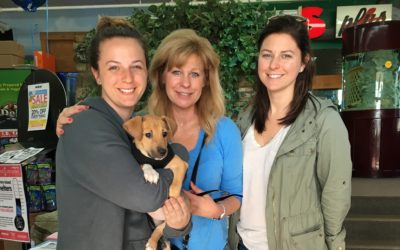 Another Life Saved – Penelope