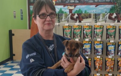 Another Life Saved – Petunia