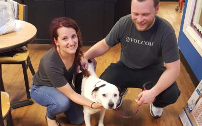 Another Life Saved – Rachel