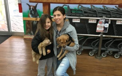Another Life Saved – Riley