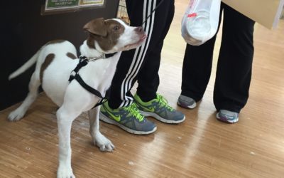 Another Life Saved – Roger