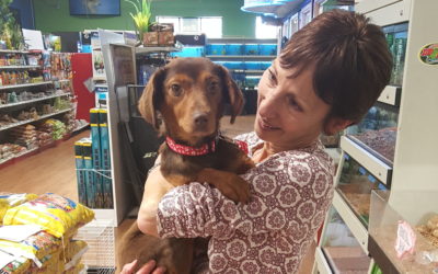 Another Life Saved – Ruby