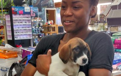 Another Life Saved – Sam
