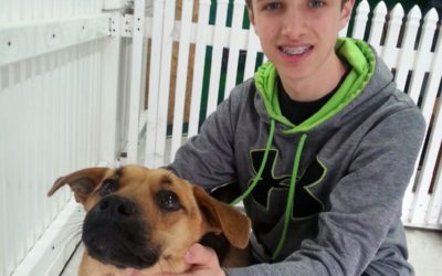 Another Life Saved – Sam
