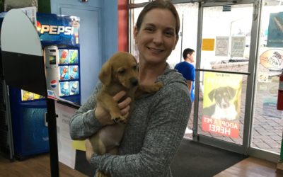 Another Life Saved – Sean