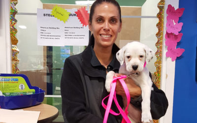 Another Life Saved – Stella