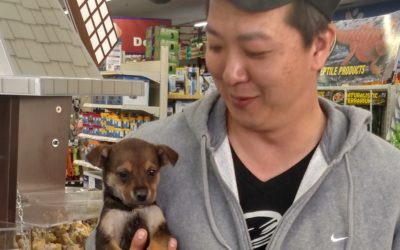 Another Life Saved – Surga