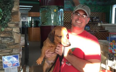 Another Life Saved – Tiger