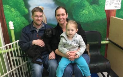 Another Life Saved – Bosley