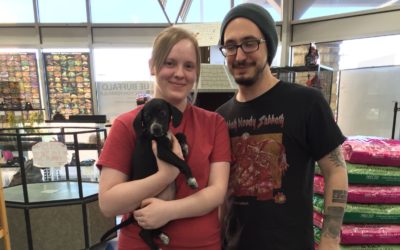 Another Life Saved – Brutus