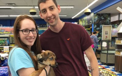Another Life Saved – Lindy