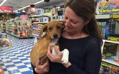 Another Life Saved – Molly