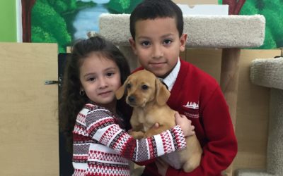Another Life Saved – Molly
