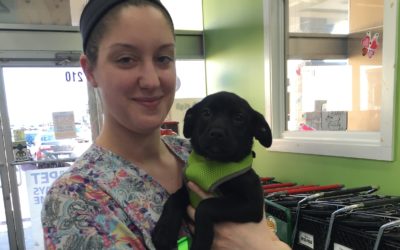 Another Life Saved – Palmer