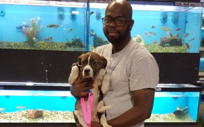 Another Life Saved – Abigail