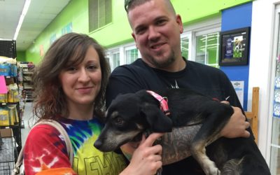 Another Life Saved – August