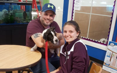 Another Life Saved – Candy