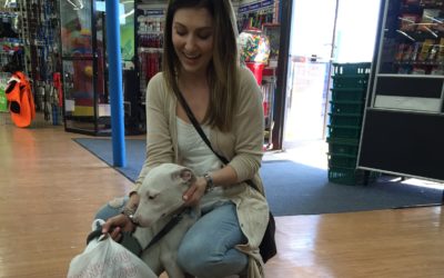 Another Life Saved – Casper