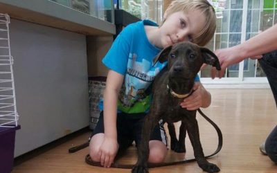 Another Life Saved – Champ