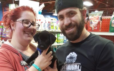 Another Life Saved – Daisy