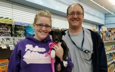 Another Life Saved – Iris