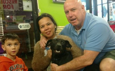 Another Life Saved – Licorice