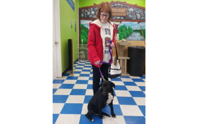 Another Life Saved – Midnight