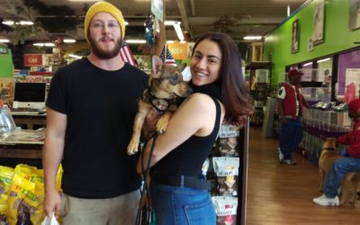 Another Life Saved – Prancer