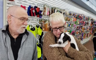Another Life Saved – Prince
