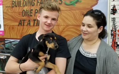 Another Life Saved – Rissa