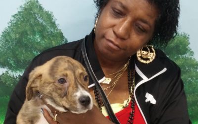 Another Life Saved – Rossi