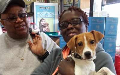 Another Life Saved – Rusty